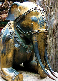 Elephant in the garden of Emperors palace