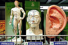 Chinesische Akupunktur in Apotheke in Shanghai