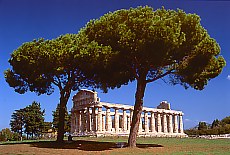 Greece Temple in Paestum