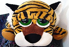 I am a wild cuddly Tiger