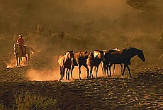 Rancher at work