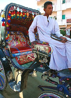 Coaches to Edfu Temple