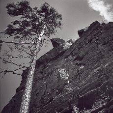 Climbing paradise Bielatal