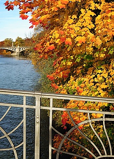 Golden October at St.Marys bridge over the river Isar