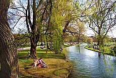 Englischer Garten Mnchen Frhling am Eisbach