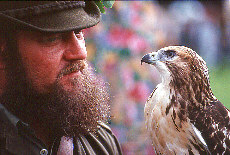Falconer with hawk