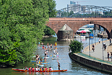 Rowing und Standup Paddling am Main