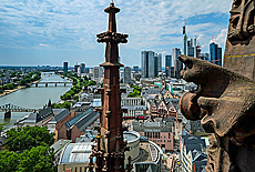 Skyline Frankfurt vom Kaiserdom