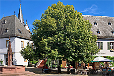 Townhall of Oestrich-Winkel in Rheingau
