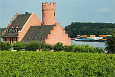 Eltville Burg Crass Weinstube Gelbes Haus am Rhein