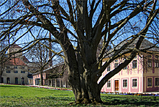 Salettl in Court Garden of University Weihenstephan