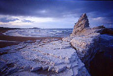 Beach near Vieste