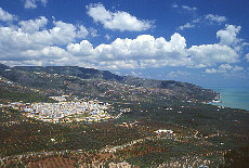 Gargano village Mattinata surrounded of olive groves