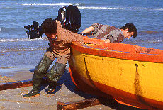 Fishermen at work