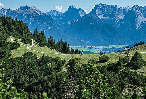 Blick vom Wank zur Zugspitze