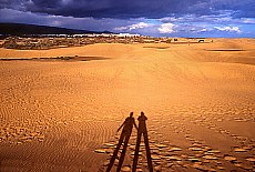 Sahara sand dunes of Maspalomas