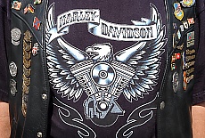 Harley Davidson motorbike Fan