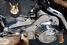 Wolpertinger Harley Davidson  motorbike