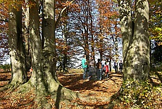 Sonntagspaziergang auf der Ilkahhe