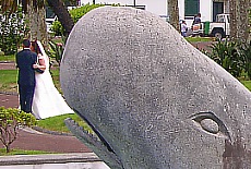 Bridal couple with the Whale Mobi Dick