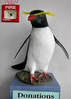 Donation for penguins