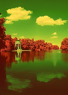 Monoptherus in Nymphenburg Palace Garden