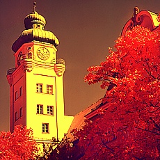 Orthopaedic hospital in Munich Harlaching