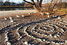 Magic gray geese at Flauchersteg