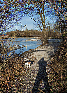 Winter in den Isarauen am Flauchersteg in Mnchen