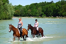Horse riding in the river Isar near Flaucher