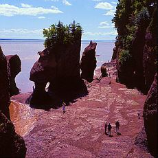 Flowerpot Rocks in the Fundy Bay