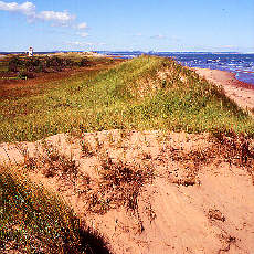 Big Dunes on Prinz Eduard Island