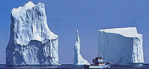 Eisberge bei Twillingate