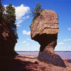 Flowerpot Rocks in the Fundy Bay