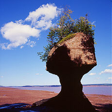 Flowerpot Rocks in the Fundy Bay