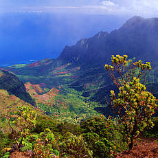 Napali coast at Pihea Lookout