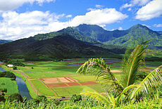 Hanalei Valley