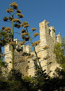 Middle aged castle upon Hvar
