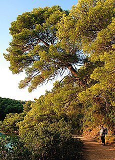 Hiking tour around the saltwater lakes on Mljet island