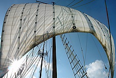 Windjammer Petrina under sails