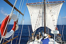 The ship Petrina under sailes