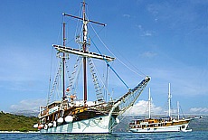 Windjammer Petrina on cruise