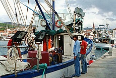 Fischerboot im Hafen von Milna auf Brac