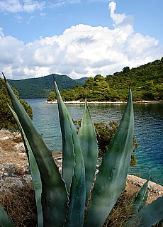 Saltwater lake on Mljet island