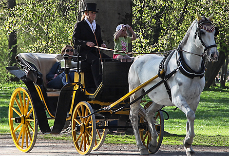 Pferdekutschfahrt im Englischen Garten Mnchen