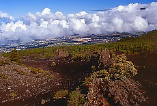 View downto Los Llanos from Cumbre