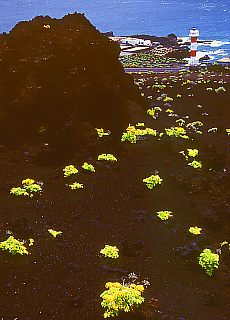 Lighthouse at south edge of La Palma