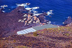 Banana plantage at the southcoast