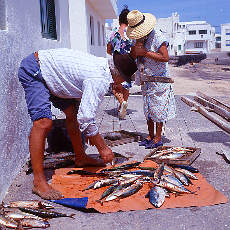 fishmonger with scales