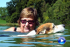 Jack Russell Terrier Linux 17 years old likes to swim